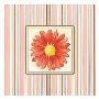 Orange by Sophia Davidson Limited Edition Print