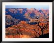 Grand Canyon From South Rim Near Yavapai Point, Grand Canyon National Park, Arizona by David Tomlinson Limited Edition Pricing Art Print