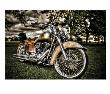 Harley by Stephen Arens Limited Edition Print
