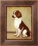 English Setter by Lanny Barnard Limited Edition Pricing Art Print