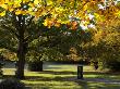 Rufus Stone Memorial In The New Forest, Hampshire, England by Adam Burton Limited Edition Print