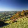 View From North Downs, Dorking, Surrey, England, United Kingdom, Europe by John Miller Limited Edition Print