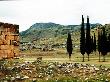 Stone Ruins And Stand Of Trees In Barren Landscape With Mountains, Pamukkale, Turkey by Ilona Wellmann Limited Edition Print