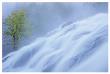 Bond Falls Misty Tree by Danny Burk Limited Edition Print
