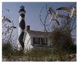 Cape Lookout I by Steve Hunziker Limited Edition Print