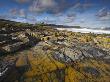 Rockpools Near Dunstanburgh Castle, Dunstanburgh, Northumberland, England, United Kingdom, Europe by Adam Burton Limited Edition Print