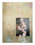 Cherry Blossoms 4 by Kurt Novak Limited Edition Pricing Art Print