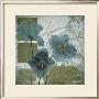 Cerulean Poppies I by Robert Lacie Limited Edition Print