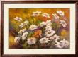 Perennial Favorites by Susan Davies Limited Edition Print