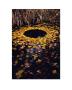 Yellow Leaf Circle by Martin Hill Limited Edition Pricing Art Print