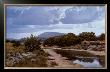Seco Creek by Glowka Greg Limited Edition Print