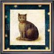 Cat Sitting by Mary Mackey Limited Edition Pricing Art Print