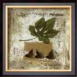 Figues Vertes by Veronique Didier-Laurent Limited Edition Pricing Art Print