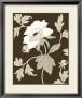 Neutral Peony Elegance I by Nancy Slocum Limited Edition Print