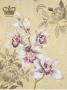 Gold Leaf And Orchid Ii by Stefania Ferri Limited Edition Print