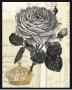 Crown Rose by Devon Ross Limited Edition Pricing Art Print