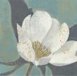 White Blossom by Norman Wyatt Jr. Limited Edition Pricing Art Print