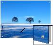 Snow Scenic With 3 Trees Under Blue Skies by I.W. Limited Edition Pricing Art Print