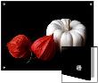 Seed Pod And Pumpkin by I.W. Limited Edition Print