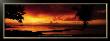 Tropical Beach At Sunset With Leaning Palm, Caribbean by Tom Mackie Limited Edition Print