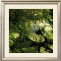 Vegetaux 14, 2008 by Nicolas Le Beuan Benic Limited Edition Print