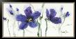 Pansies Viii by Marthe Limited Edition Print