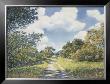 Path Through The Forest by Paul Fortis Limited Edition Print