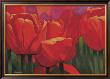 Red Time For Tulips by Christian Limited Edition Pricing Art Print