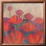 Poppies Ii by Robert Holman Limited Edition Pricing Art Print
