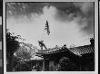 Marine Luther Leguire Raising American Flag On The Roof Of The Us Consulate by Sgt. John Babyak Jr. Limited Edition Print