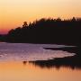 Silhouette Of Trees At Dusk, Sweden by Jorgen Larsson Limited Edition Print