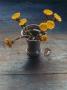 Flowers (Coltsfoot) In A Metal Vase by Hans Hammarskiold Limited Edition Print