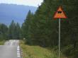 Bear Crossing Sign On The Roadside, Harjedalen, Sweden by Jorgen Larsson Limited Edition Print