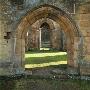 Mount Grace Priory North Yorkshire England by Joe Cornish Limited Edition Pricing Art Print