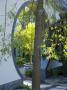 Arch In Moongate Creates Vista With Citrus Tree In Pot, (Chelsea 2007), Designer: Lesley Bremnes by Clive Nichols Limited Edition Print