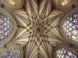 Wells Cathedral, Somerset, 14Th Century Vaulted Ceiling by David Clapp Limited Edition Pricing Art Print