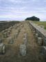 Housesteads Roman Fort, Vercovicium, Hadrian's Wall, Northumberland, England by Martine Hamilton Knight Limited Edition Print