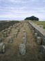 Housesteads Roman Fort, Vercovicium, Hadrian's Wall, Northumberland, England by Martine Hamilton Knight Limited Edition Pricing Art Print