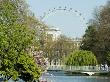 St James' Park Lake And The London Eye, London by Natalie Tepper Limited Edition Pricing Art Print