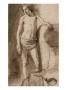Academie D'un Jeune Garcon, La Main Posee Sur Un Appui by Rembrandt Van Rijn Limited Edition Print