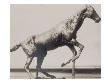 Photo D'une Sculpture En Cire De Degas:Cheval Se Dressant (Rf 2107) by Ambroise Vollard Limited Edition Pricing Art Print