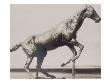 Photo D'une Sculpture En Cire De Degas:Cheval Se Dressant (Rf 2107) by Ambroise Vollard Limited Edition Print