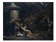 Nature Morte Au Paon Et Au Chien by Jan Baptist Weenix Limited Edition Pricing Art Print