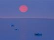 Sunset Over Calm Hudson Bay Waters Dotted With Small Ice Chunks by Norbert Rosing Limited Edition Print