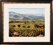 Vineyards To Vaca Mountains by Ellie Freudenstein Limited Edition Pricing Art Print