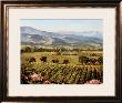 Vineyards To Vaca Mountains by Ellie Freudenstein Limited Edition Pricing Art Print