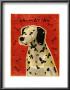 Dalmation by John Golden Limited Edition Print