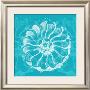 Chromatic Rosette Iii by Stefania Ferri Limited Edition Print