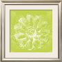 Chromatic Rosette Ii by Stefania Ferri Limited Edition Print