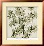 Wild Geranium by Steven N. Meyers Limited Edition Pricing Art Print